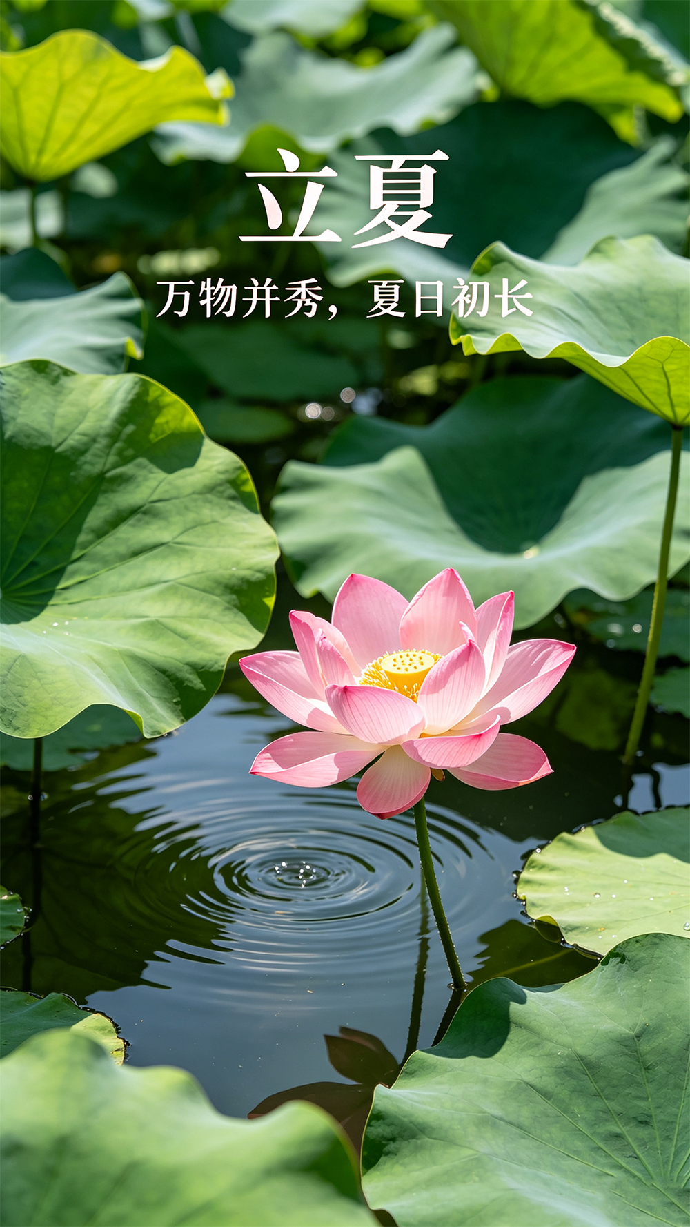 0c6504c547f220ef52ab998b58a60fe1 拷贝.jpg